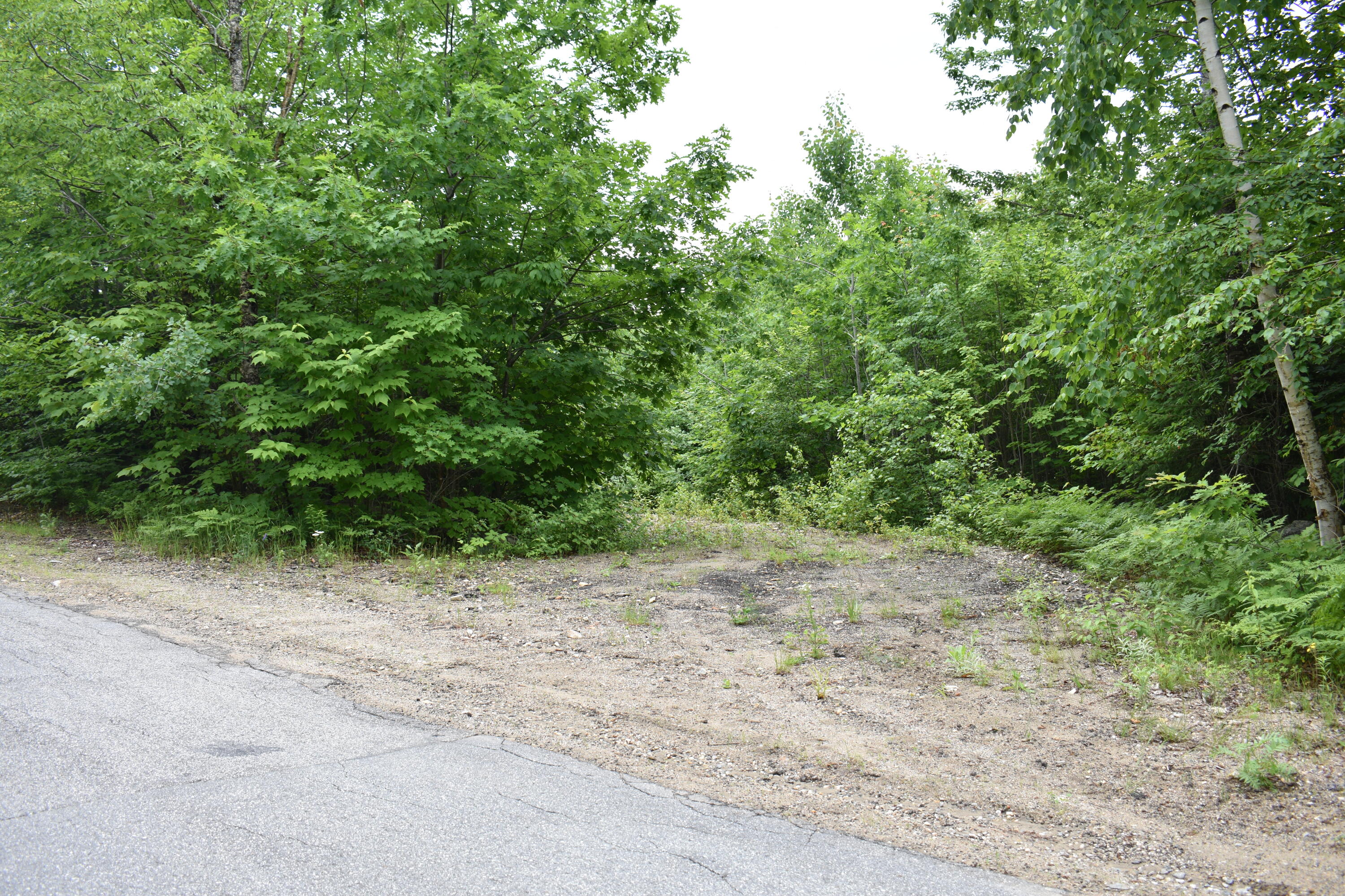 Lot 1 Cushman Road Bryant Pond, ME 04219 - Photo 1 of 4 DSC_0969
