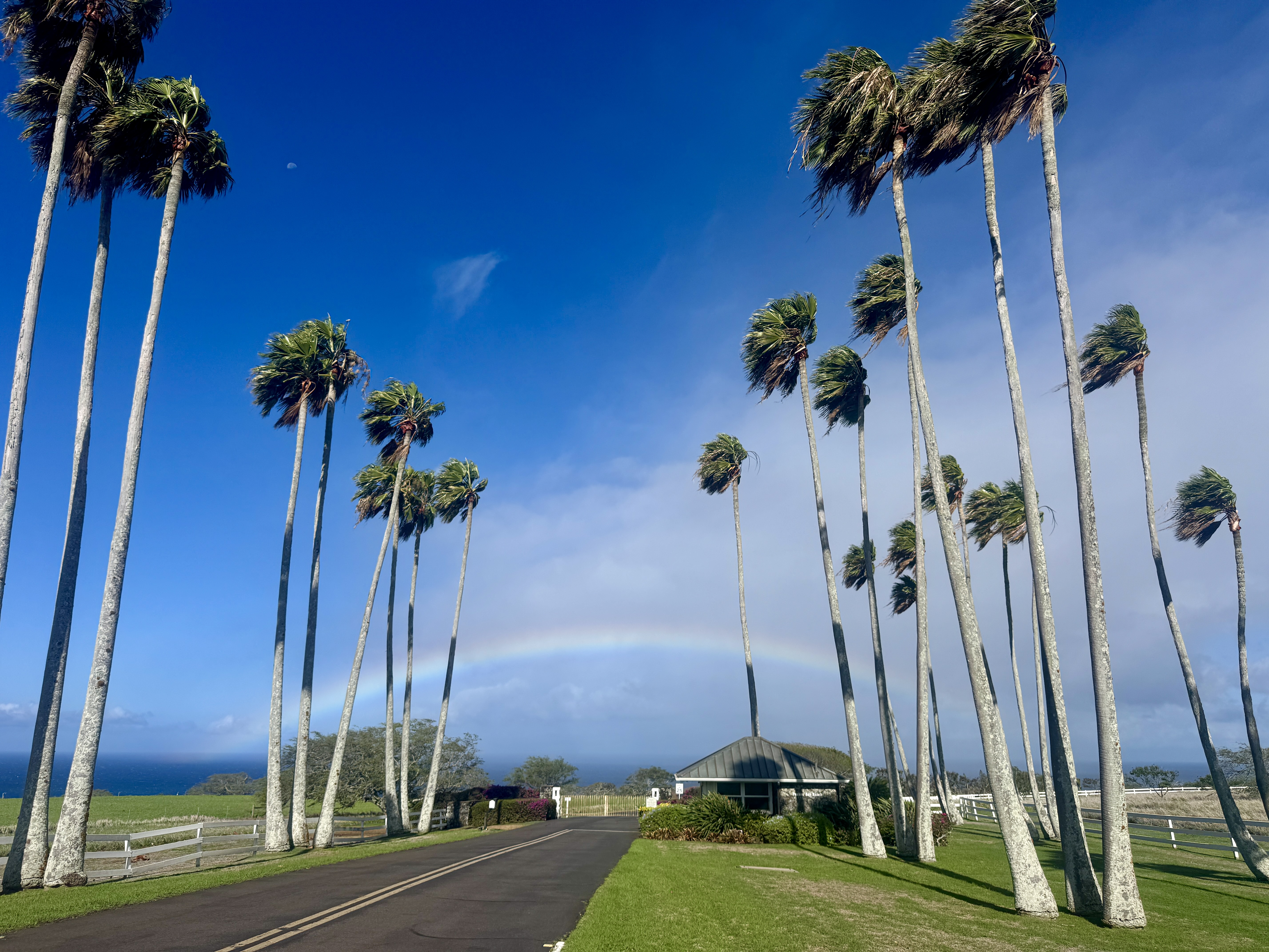 a view of a vase with flowers