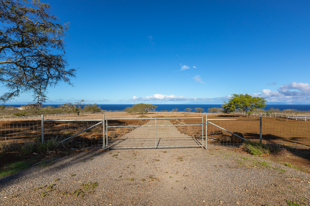 56-2891 Haleakala View Place Kamuela, HI 96743 - Photo 11 of 25 a view of a terrace with chairs