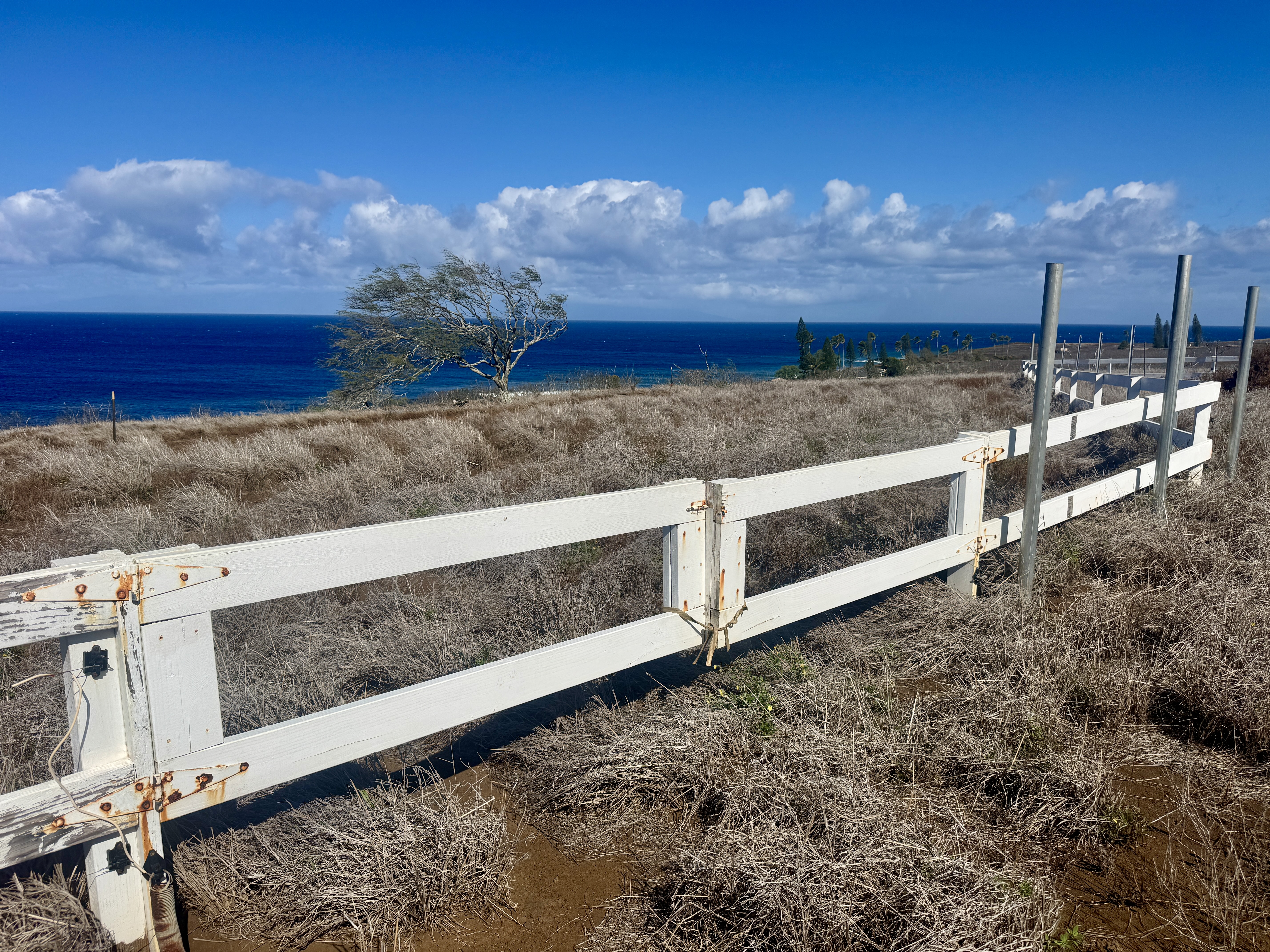 56-2891 Haleakala View Place Kamuela, HI 96743 - Photo 17 of 25 a view of a yard with wooden fence