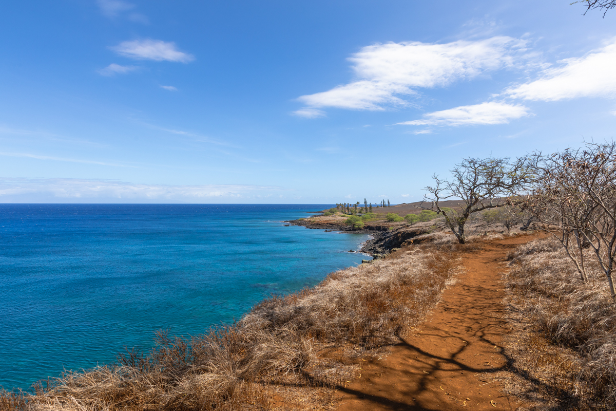 56-2891 Haleakala View Place Kamuela, HI 96743 - Photo 20 of 25 a view of an ocean beach