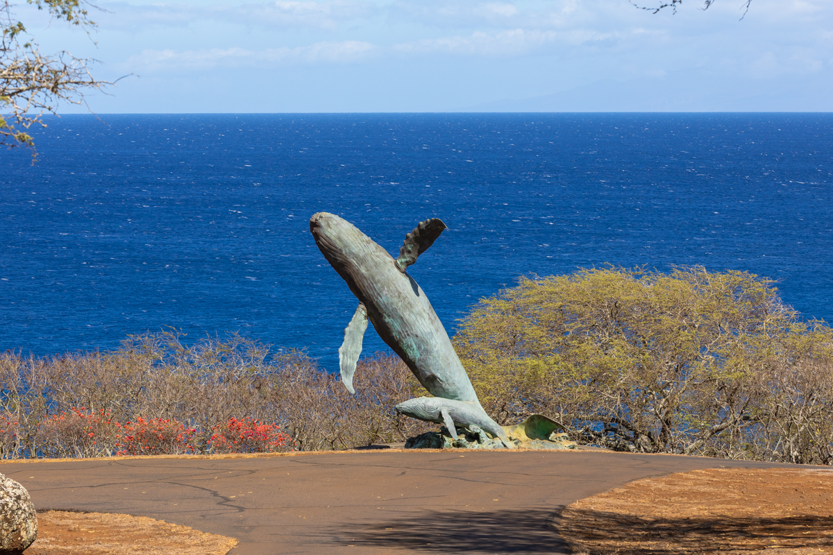 56-2891 Haleakala View Place Kamuela, HI 96743 - Photo 2 of 25 a view of a ocean view