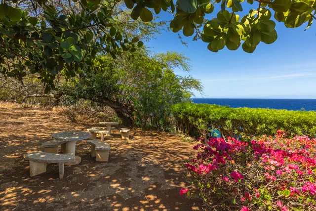 a view of a yard with wooden fence