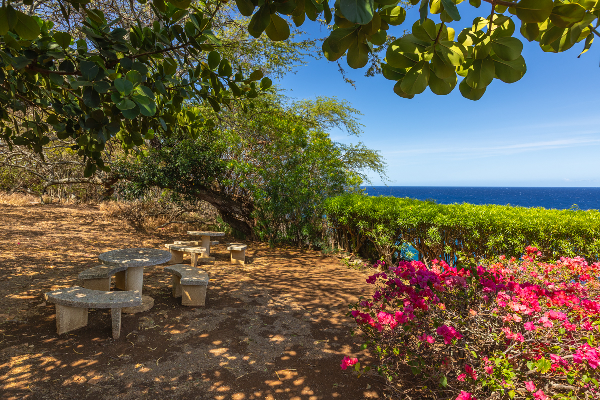 56-2891 Haleakala View Place Kamuela, HI 96743 - Photo 21 of 25 a view of a flower