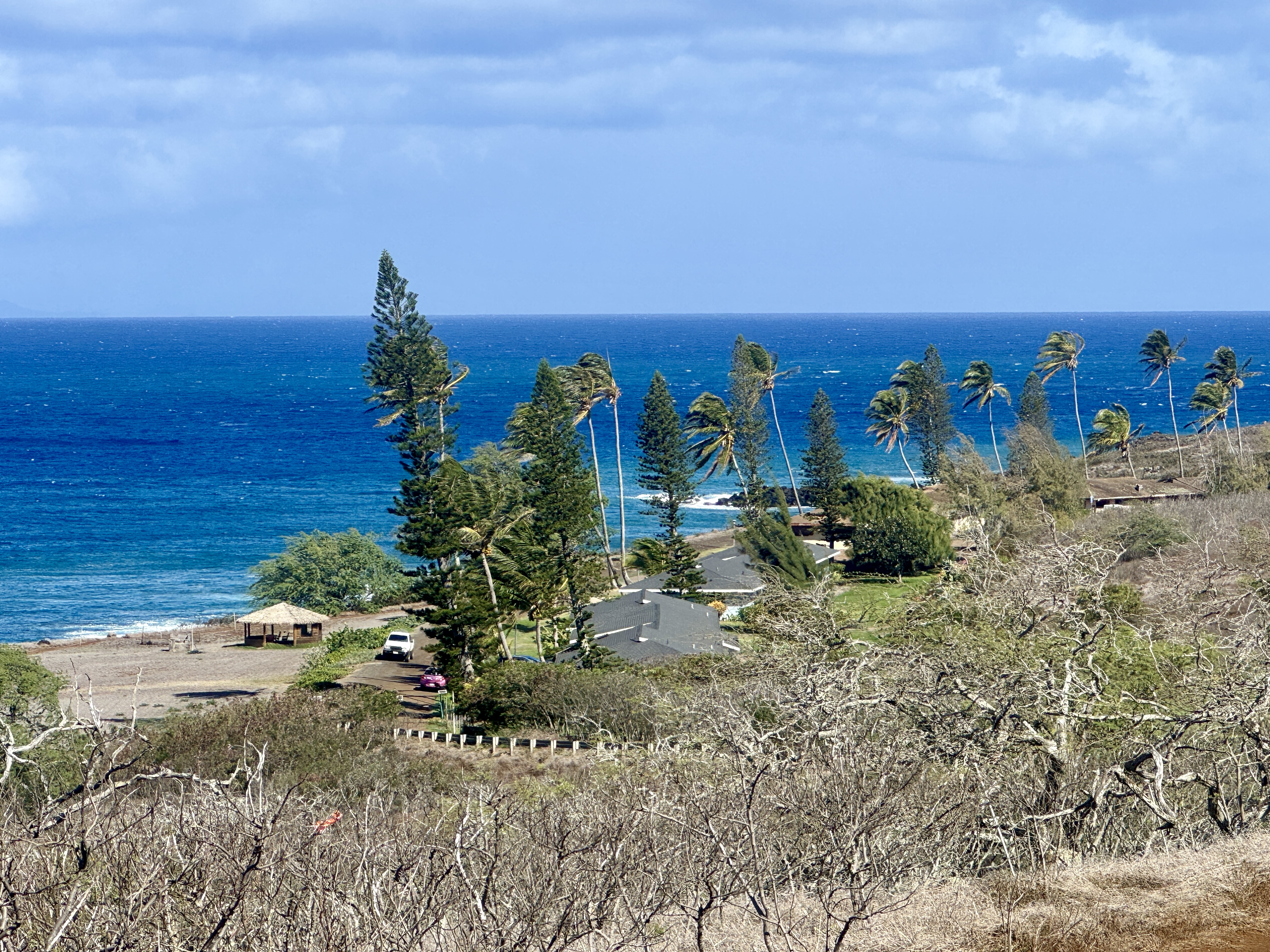 56-2891 Haleakala View Place Kamuela, HI 96743 - Photo 23 of 25 a view of a yard with wooden fence