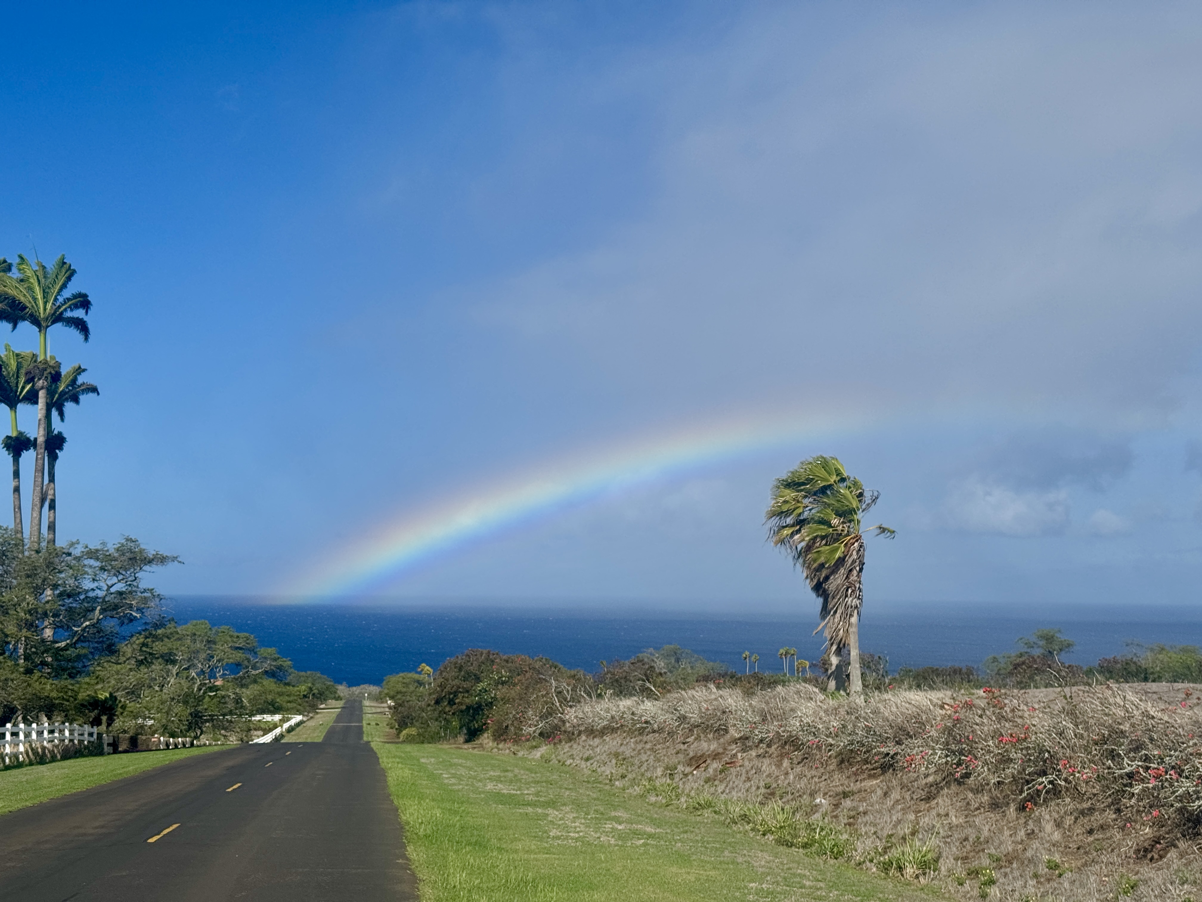 56-2891 Haleakala View Place Kamuela, HI 96743 - Photo 25 of 25 a view of a backyard