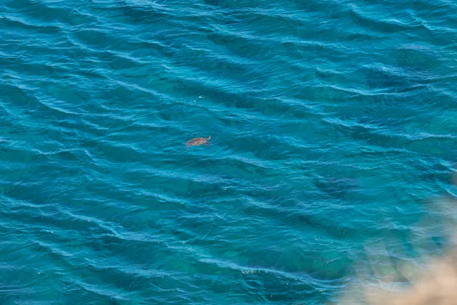 a view of yard with an outdoor space