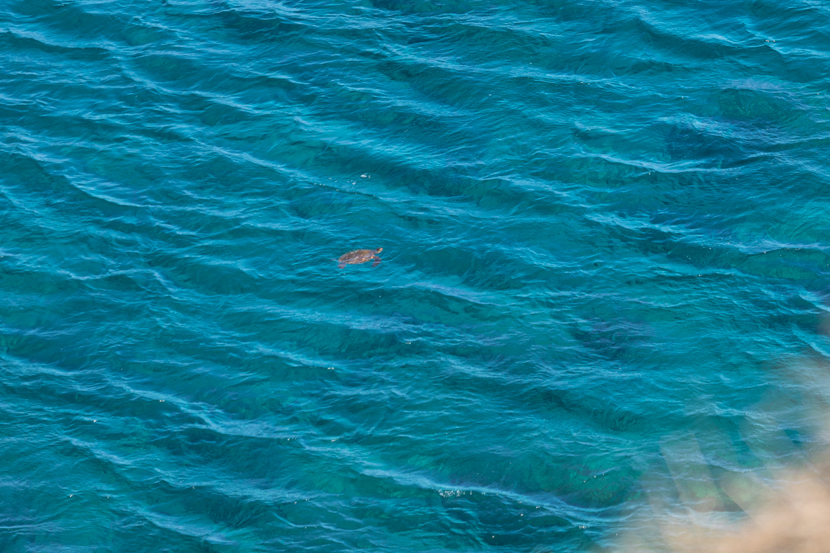 56-2891 Haleakala View Place Kamuela, HI 96743 - Photo 3 of 25 a view of yard with an outdoor space