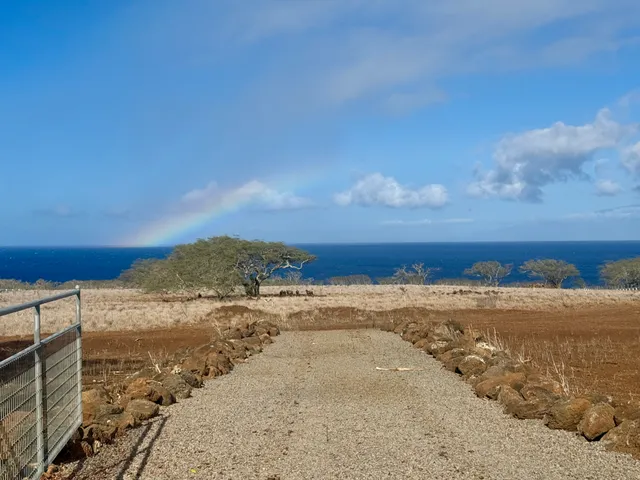 a view of ocean with beach