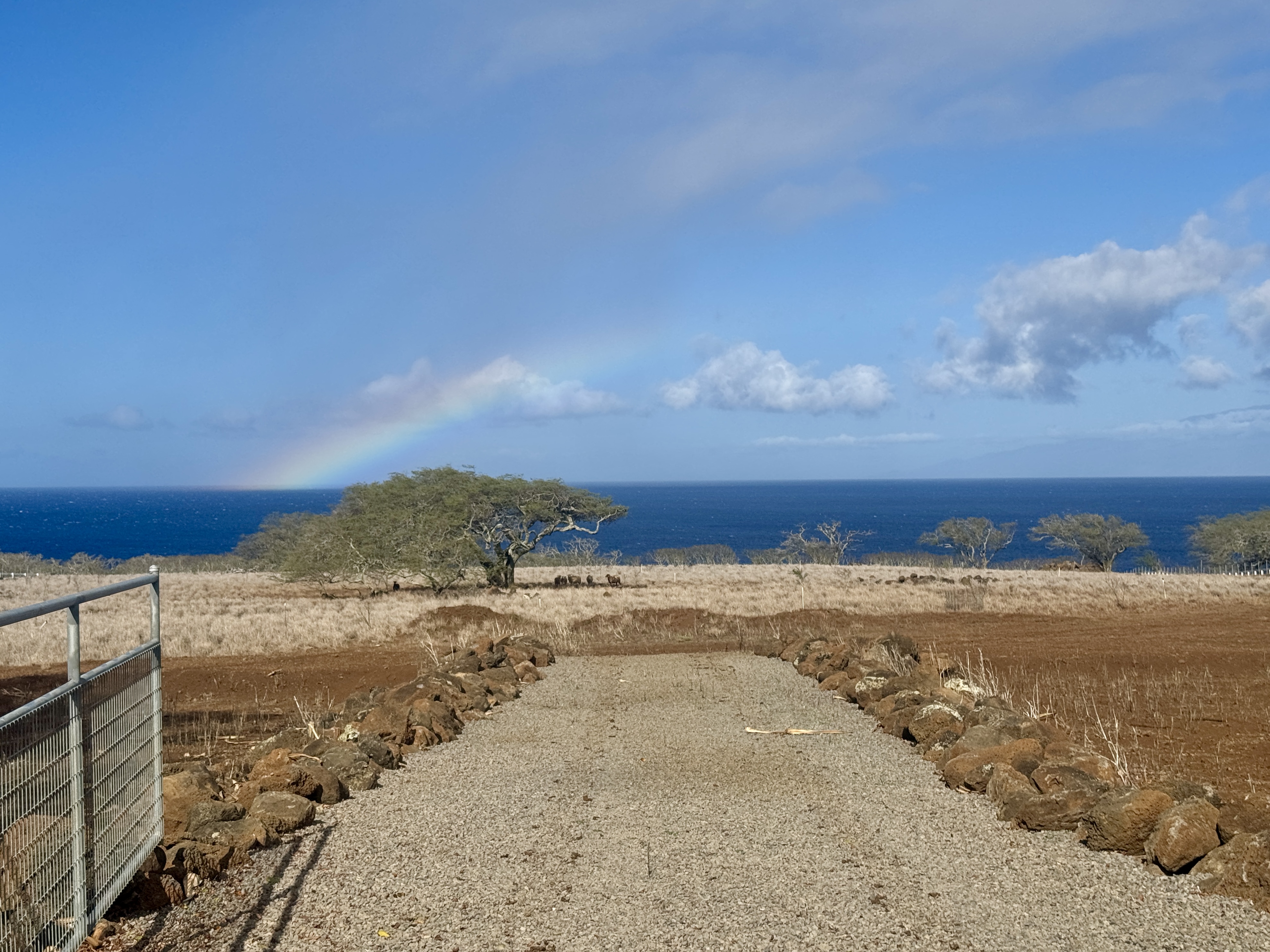 56-2891 Haleakala View Place Kamuela, HI 96743 - Photo 5 of 25 a view of ocean with beach