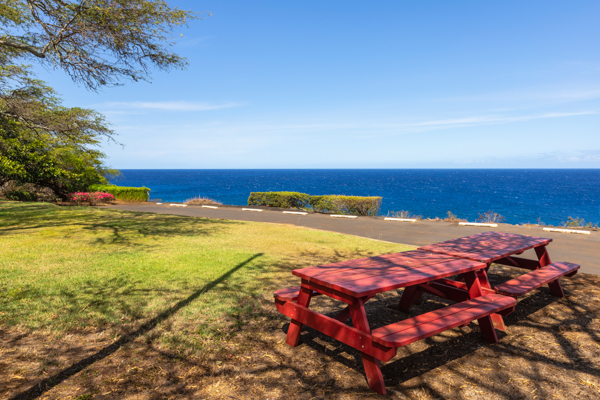 56-2891 Haleakala View Place Kamuela, HI 96743 - Photo 6 of 25 a view of a swimming pool with an ocean view