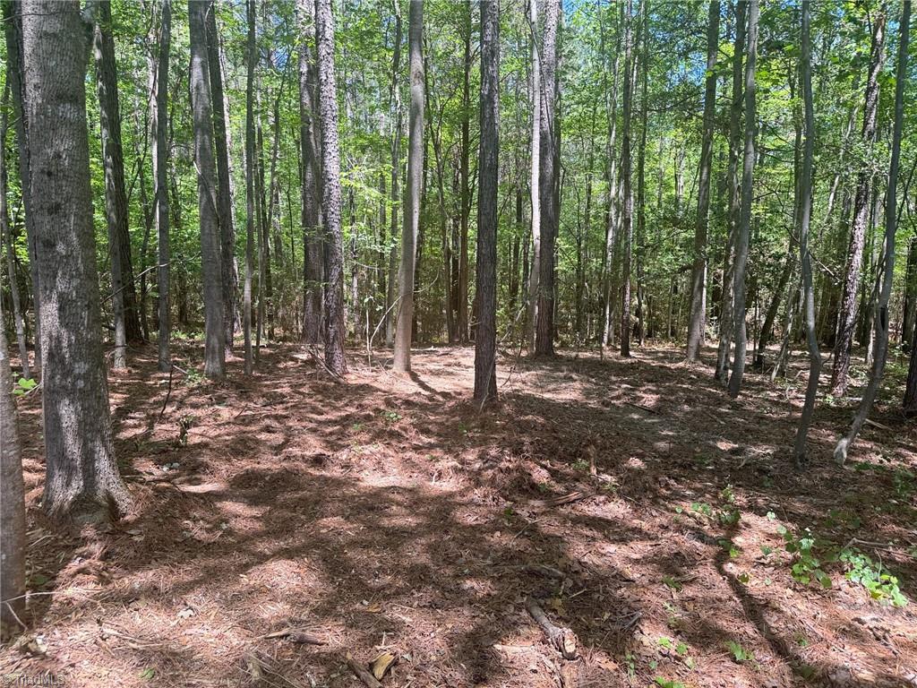 Lot 15 Willie Road Seagrove, NC 27341 - Photo 4 of 5