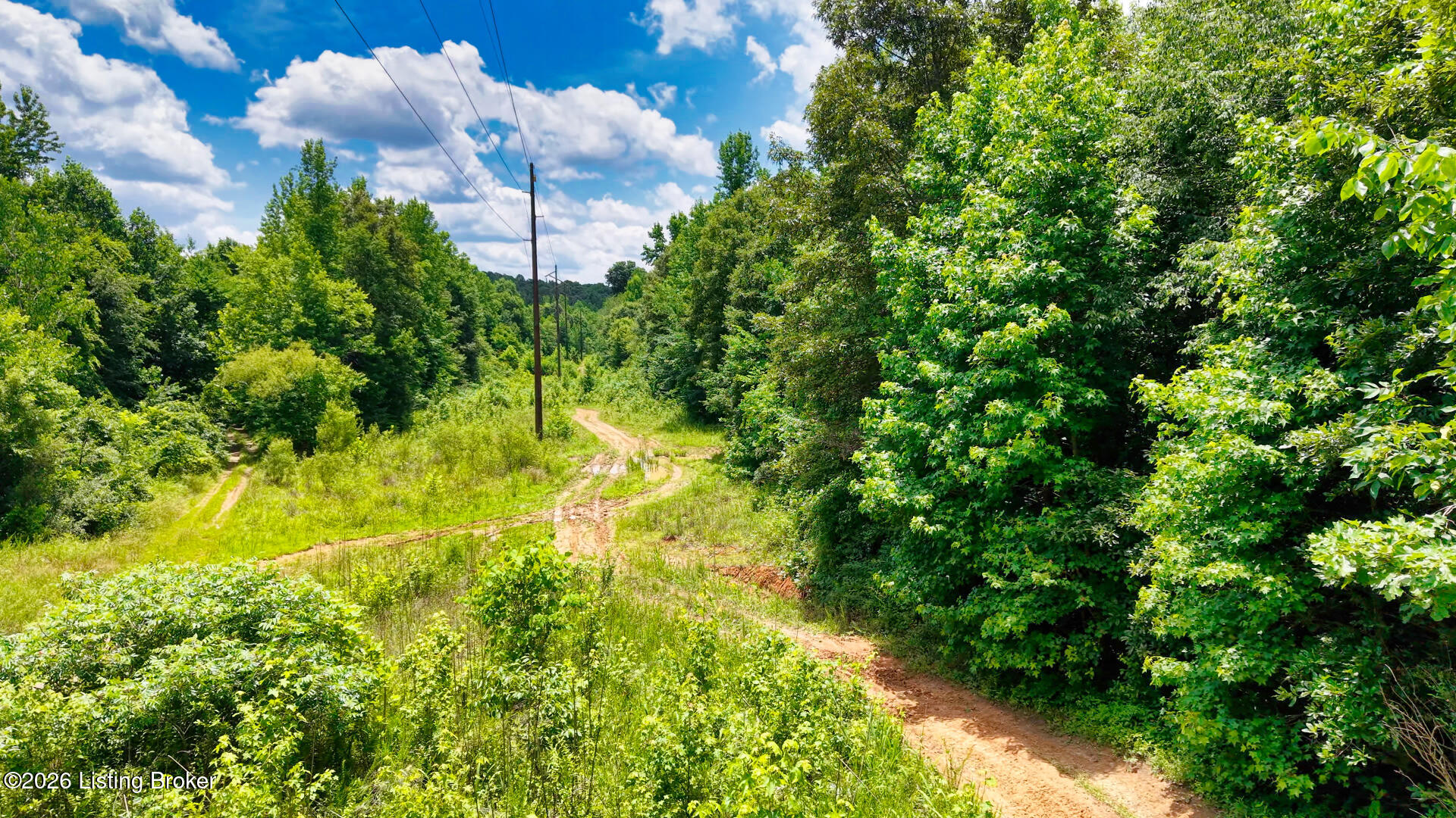 2 Ditney Hill Road Drakesboro, KY 42337 - Photo 5 of 13 DJI 155