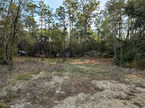 $35,000 | 1108 East Van Gogh Court, Hernando, FL 34442