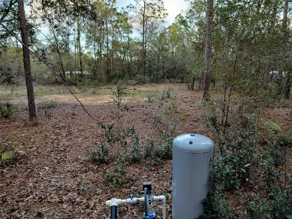 $35,000 | 1108 East Van Gogh Court, Hernando, FL 34442