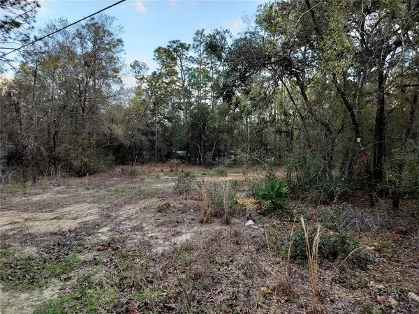 $35,000 | 1108 East Van Gogh Court, Hernando, FL 34442