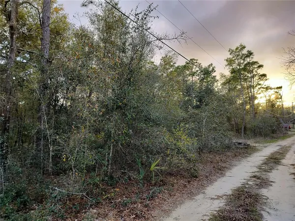 $35,000 | 1108 East Van Gogh Court, Hernando, FL 34442