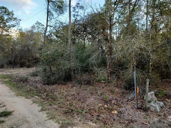 $35,000 | 1108 East Van Gogh Court, Hernando, FL 34442