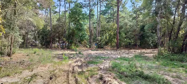 $35,000 | 1108 East Van Gogh Court, Hernando, FL 34442