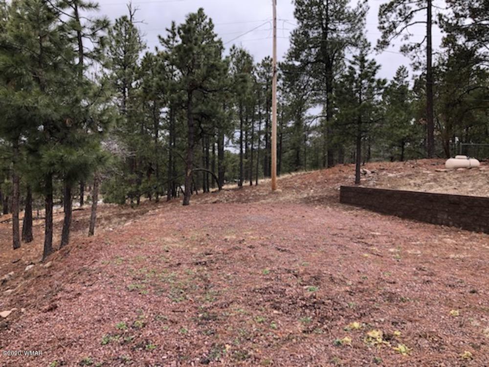 6 County Rd N2077 Alpine, AZ 85920 - Photo 29 of 38