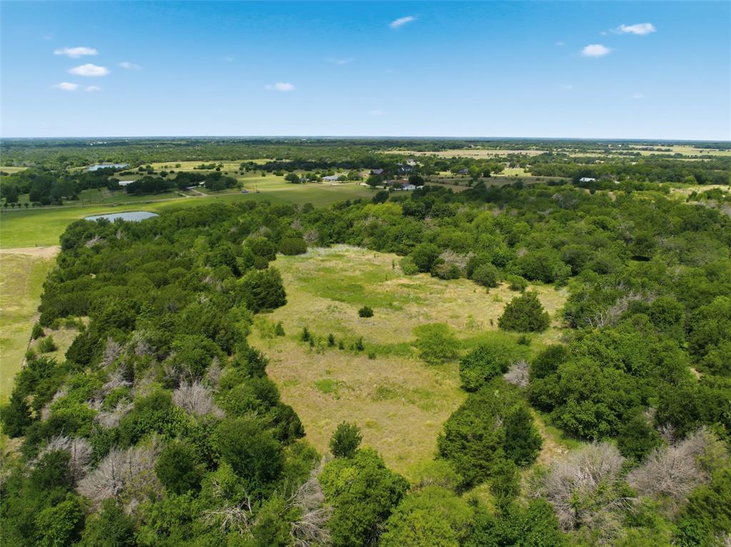 663 North Katy Road Elm Mott, TX 76640 - Photo 12 of 25 Expansive undeveloped land featuring a mix of dense tree coverage and open grassy areas