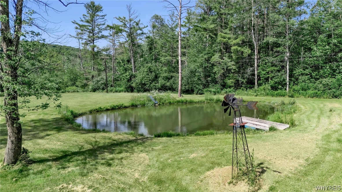 7749 Crabb Hollow Road New Hudson, NY 14717 - Photo 44 of 50