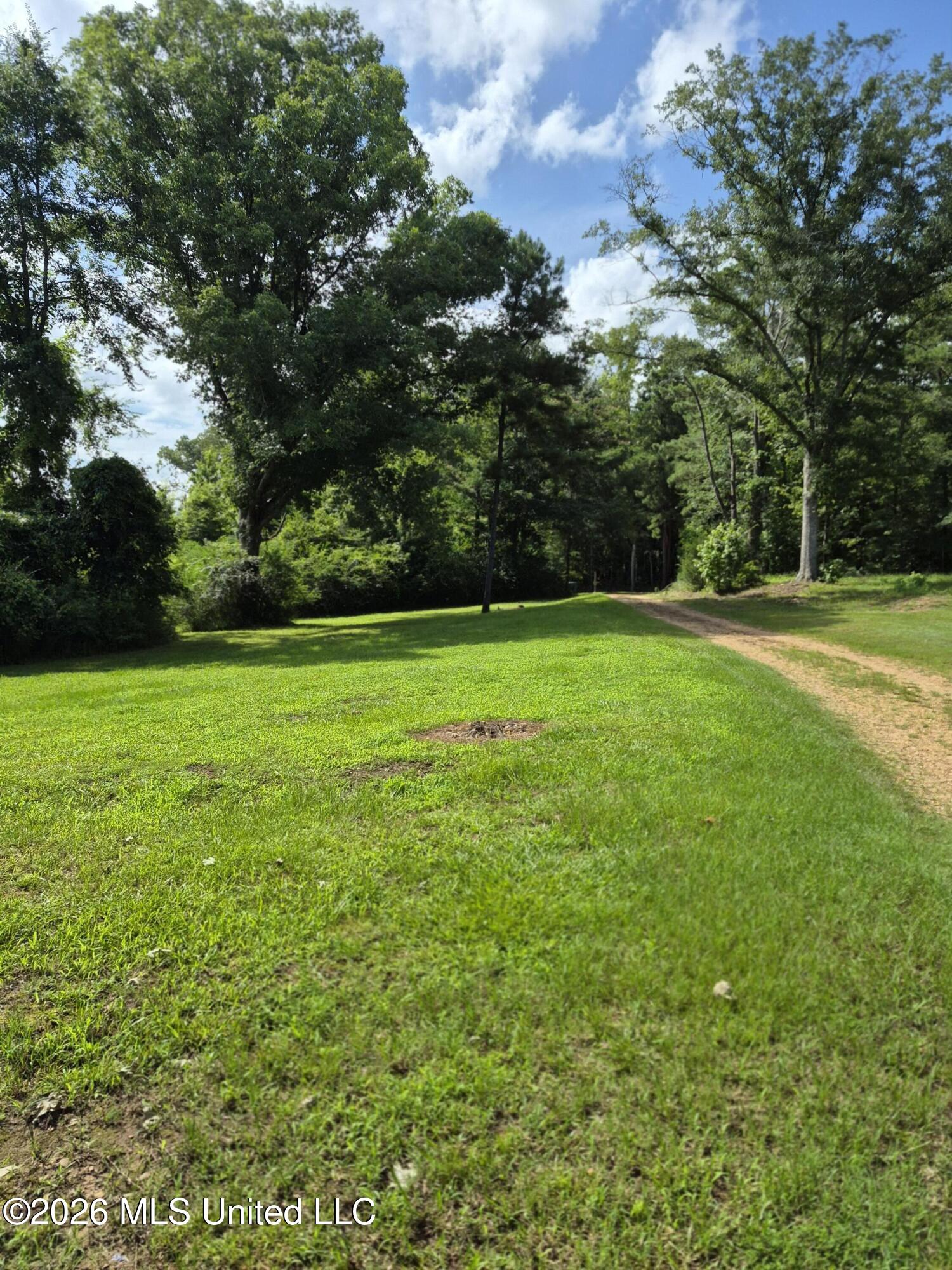 1200 Chetwood Road Carthage, MS 39051 - Photo 6 of 19 9366