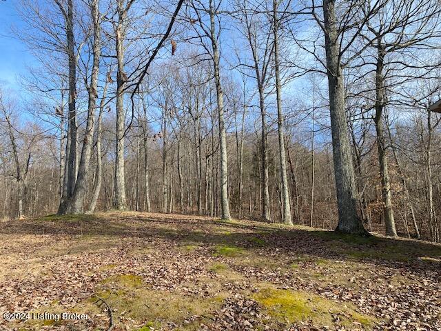 9143 Loretto Road Loretto, KY 40037 - Photo 43 of 46 20