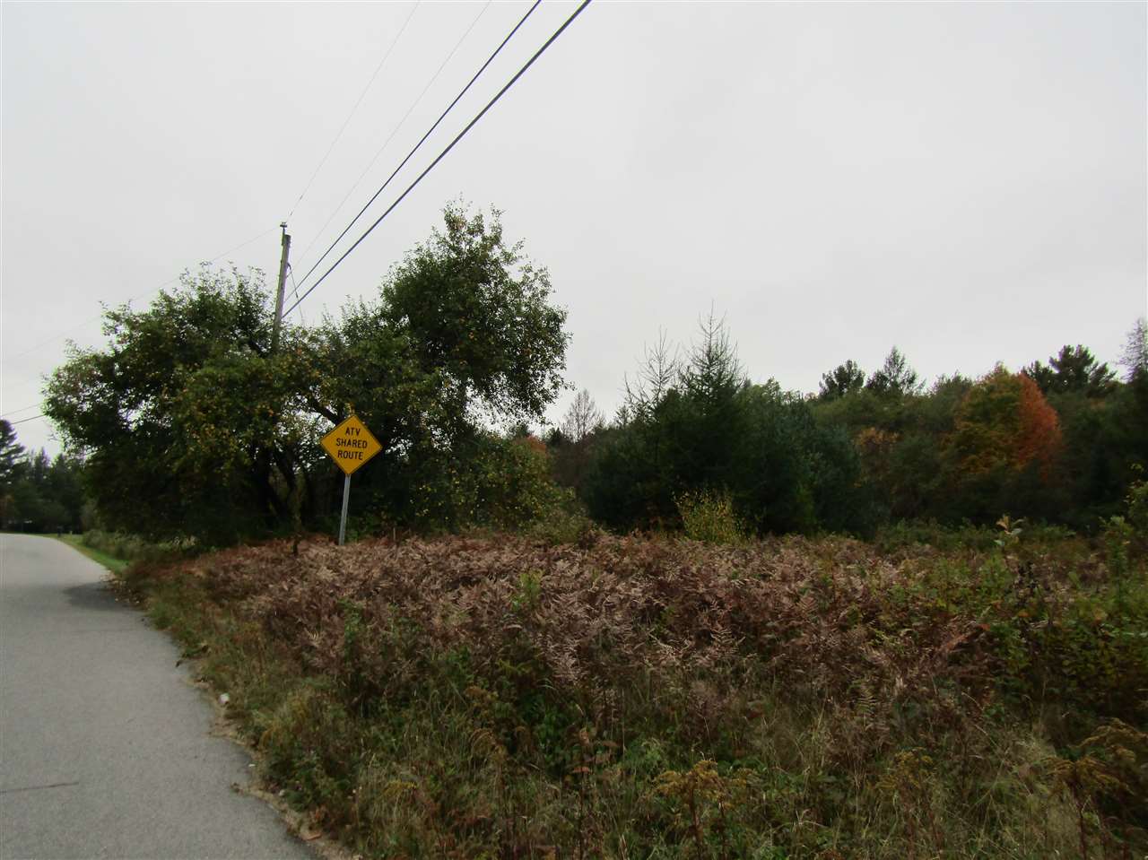 Lot 3 Bog Road Stratford, NH 03590 - Photo 3 of 8