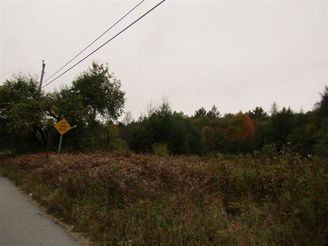 Lot 3 Bog Road Stratford, NH 03590 - Photo 5 of 8