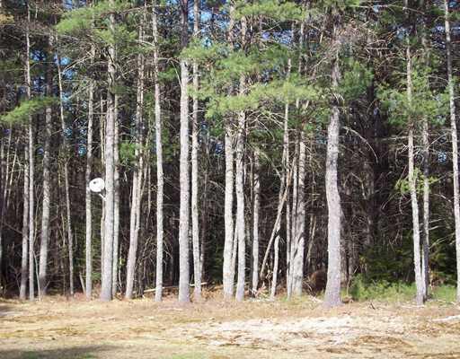236 Plains Road Harrison, ME 04040 - Photo 4 of 21 Land/Lot. Large back yard~Plenty of...