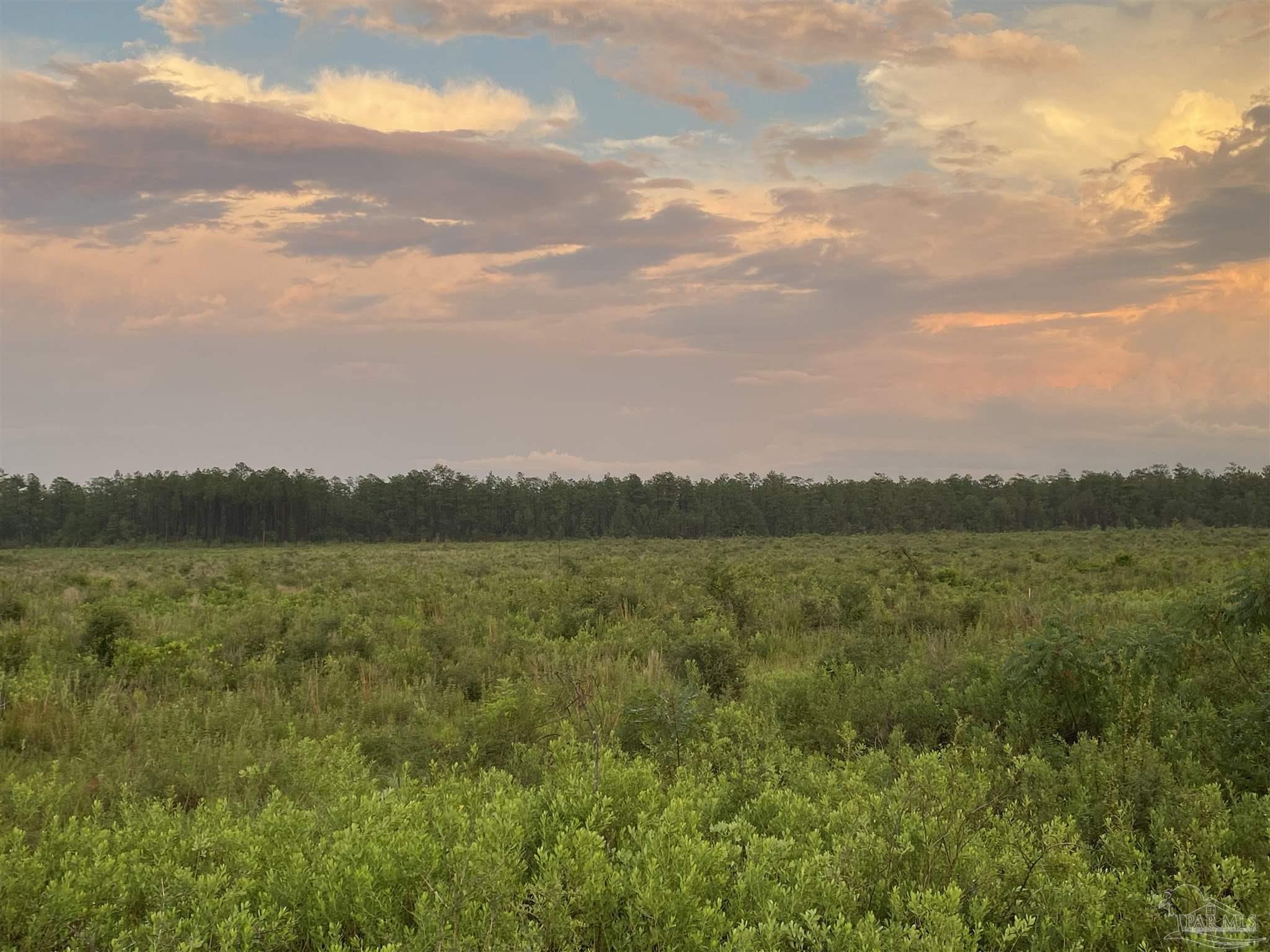 Lot 3 Gordon Land Road Jay, FL 32565 - Photo 1 of 6 Gallery Image 1