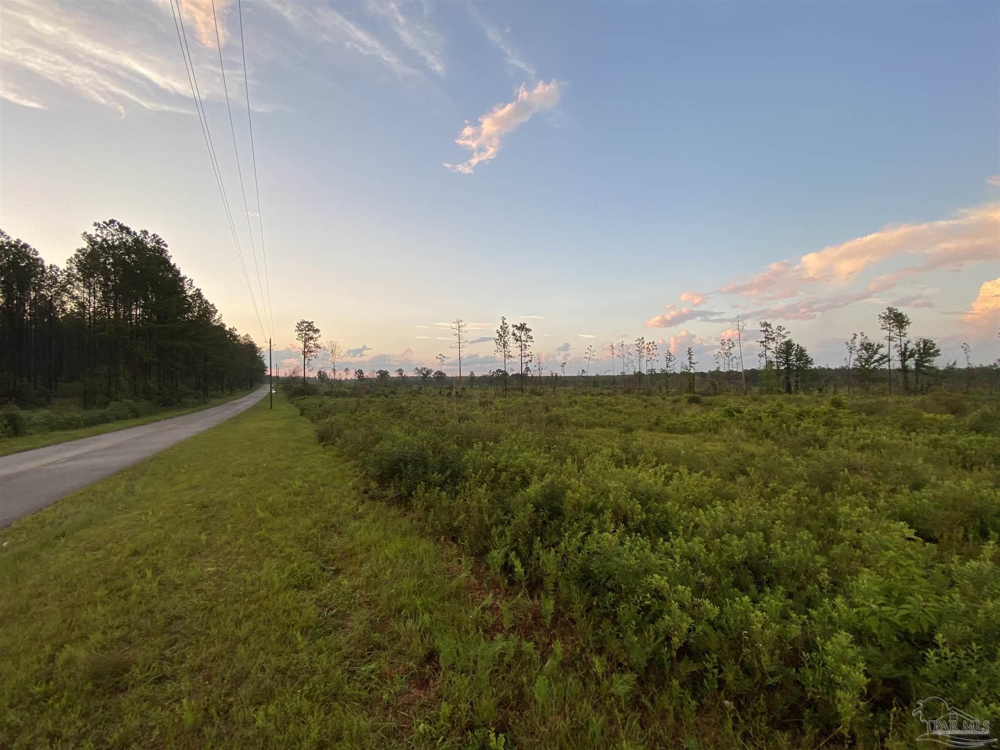 Lot 3 Gordon Land Road Jay, FL 32565 - Photo 2 of 6 Gallery Image 2