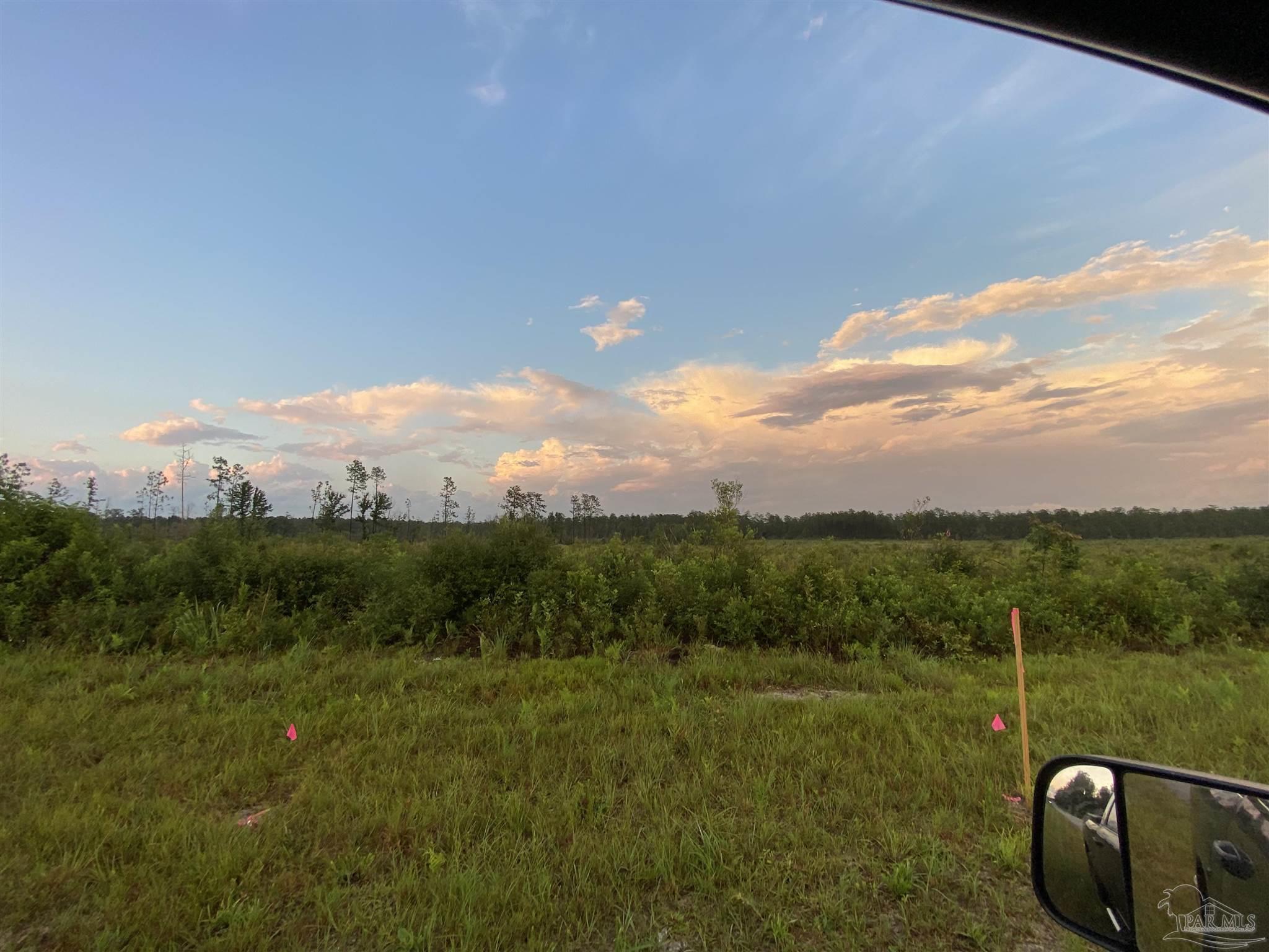 Lot 3 Gordon Land Road Jay, FL 32565 - Photo 3 of 6 Gallery Image 3