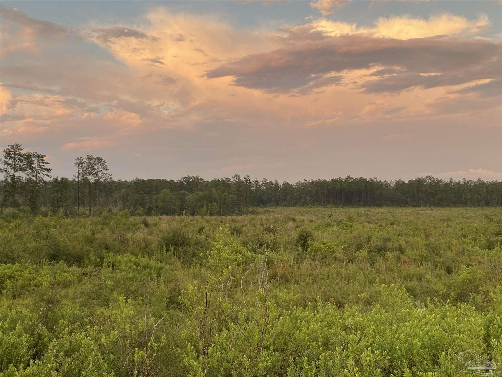 Lot 3 Gordon Land Road Jay, FL 32565 - Photo 4 of 6 Gallery Image 4