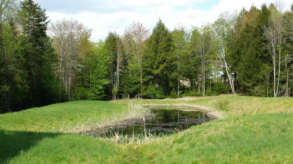 Lot #7 Rangdale Road Durham, ME 04222 - Photo 22 of 25 The pond on the David Louis Drive...