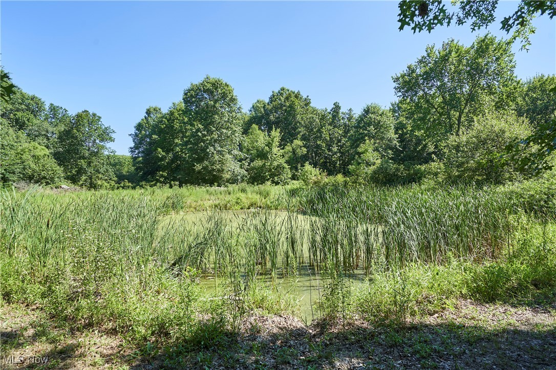 3741 Bassett Road Rootstown, OH 44272 - Photo 24 of 29 View of woods