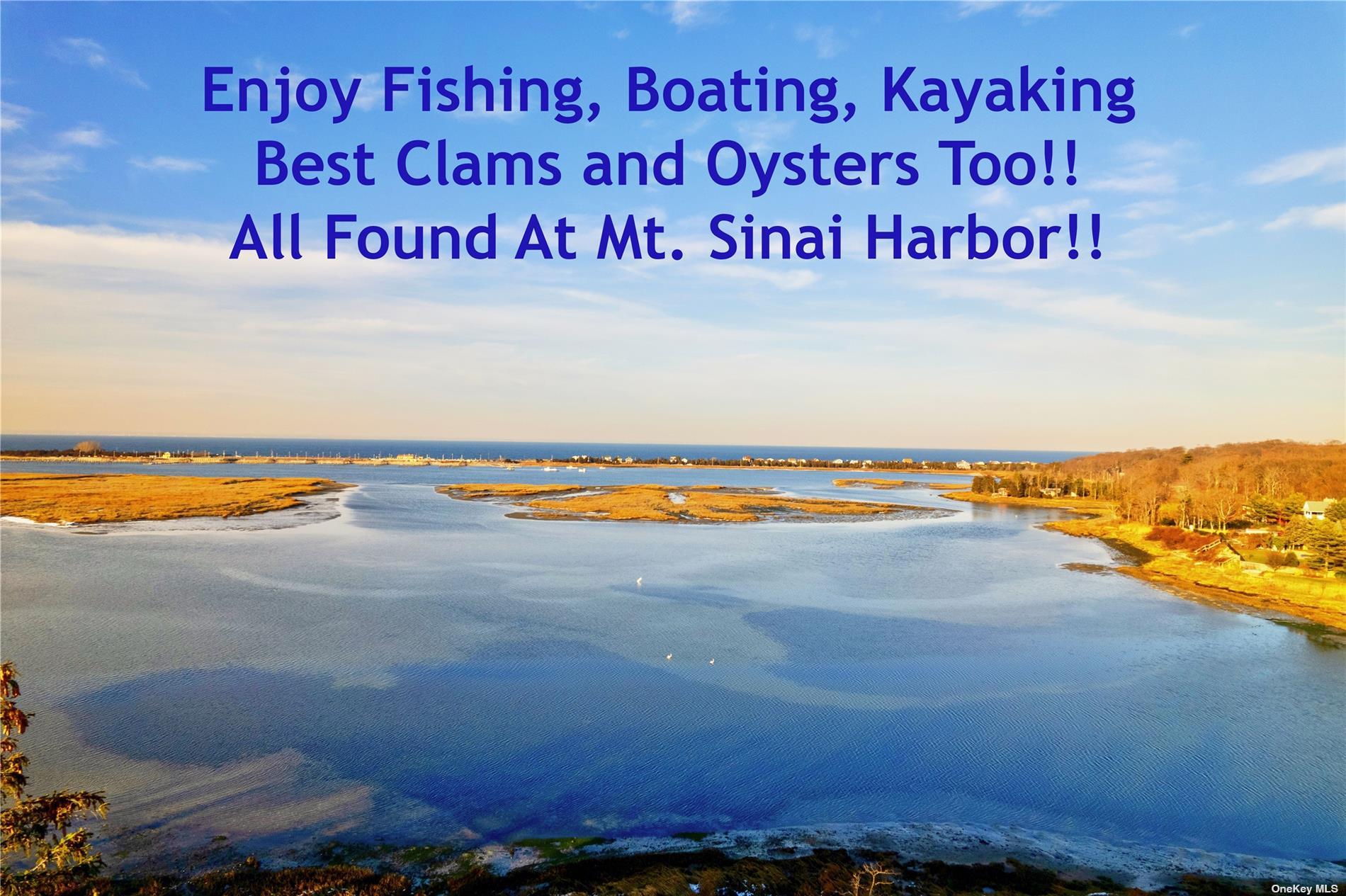 225 Shore Road Mount Sinai, NY 11766 - Photo 4 of 6 a view of an ocean and beach