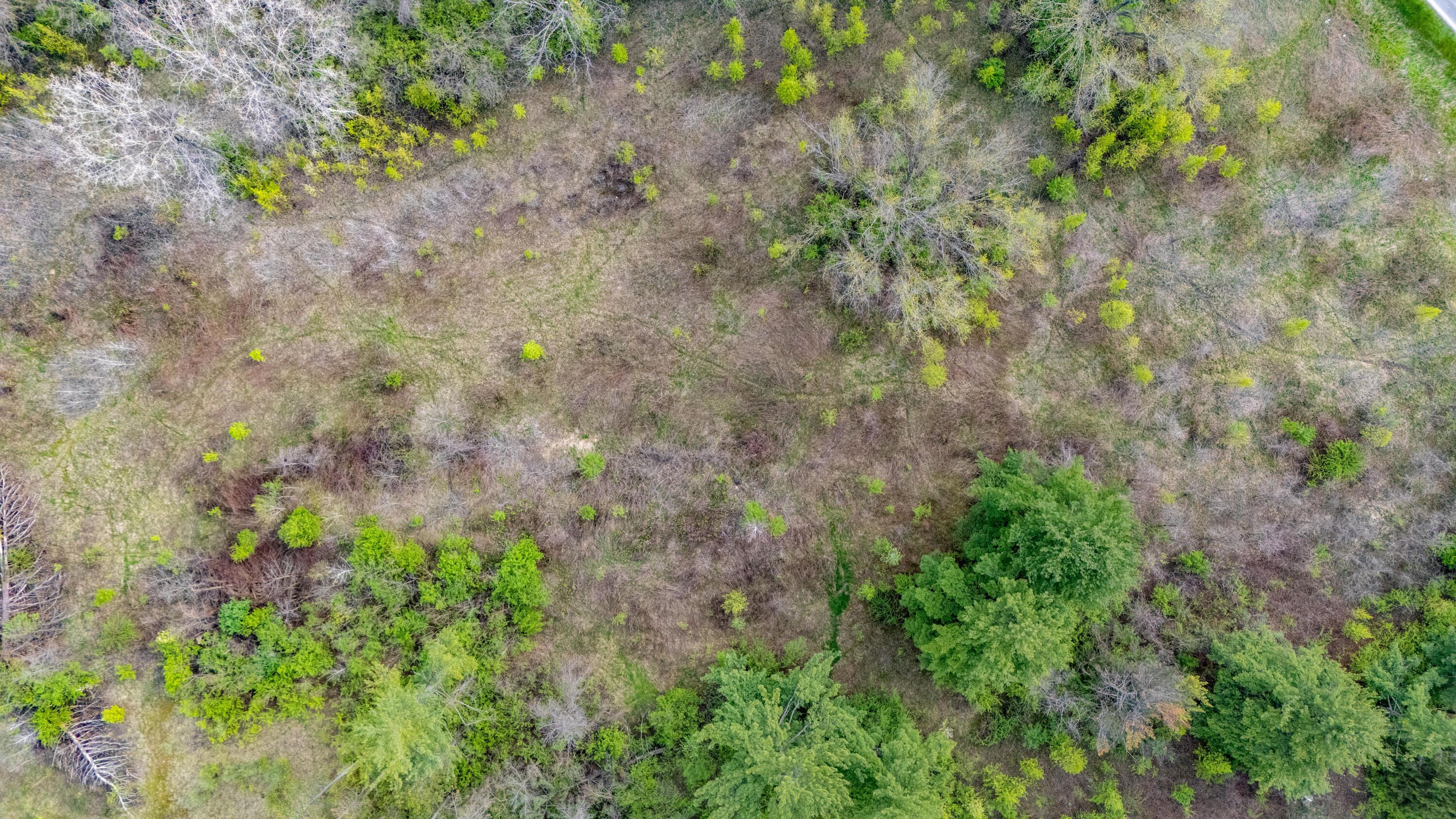 258 Houk Road Delaware, OH 43015 - Photo 9 of 24 Drone Close-Up 3