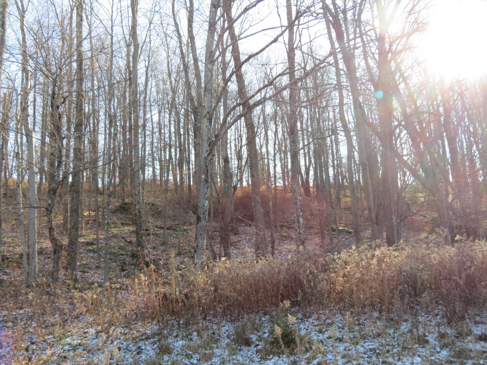 146 Mountain Vw Road Newfoundland, PA 18445 - Photo 3 of 13