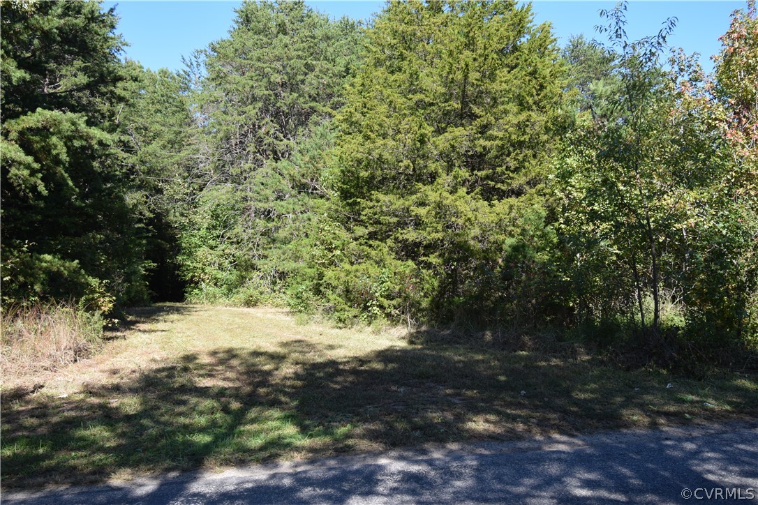 17226 Parsons Road Beaverdam, VA 23015 - Photo 12 of 45 Gallery Image 12
