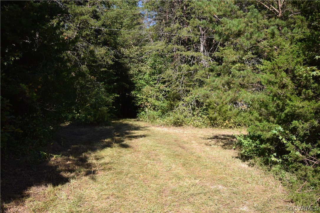 17226 Parsons Road Beaverdam, VA 23015 - Photo 13 of 45 Gallery Image 13