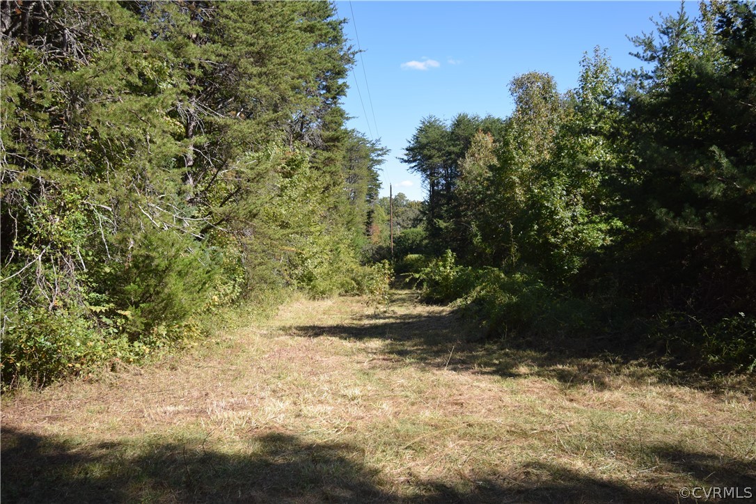 17226 Parsons Road Beaverdam, VA 23015 - Photo 14 of 45 Gallery Image 14