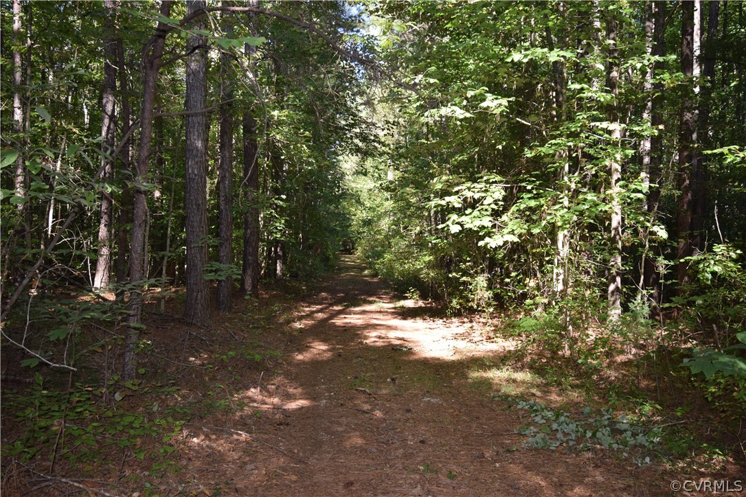 17226 Parsons Road Beaverdam, VA 23015 - Photo 15 of 45 Gallery Image 15