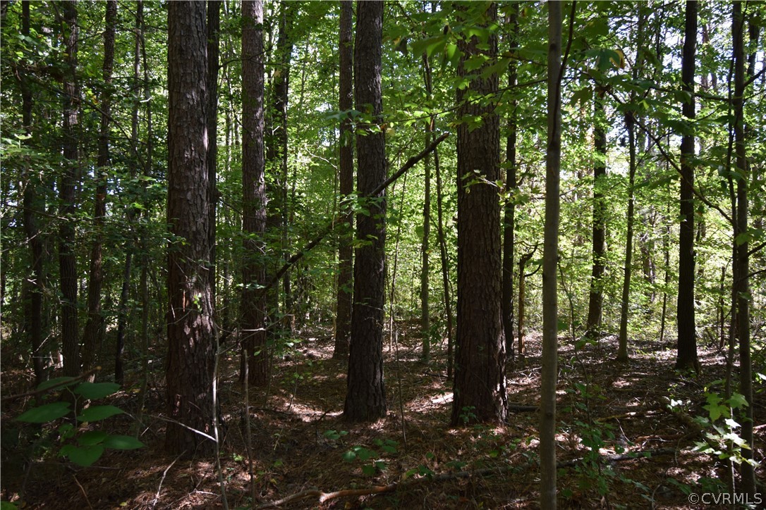 17226 Parsons Road Beaverdam, VA 23015 - Photo 16 of 45 Gallery Image 16