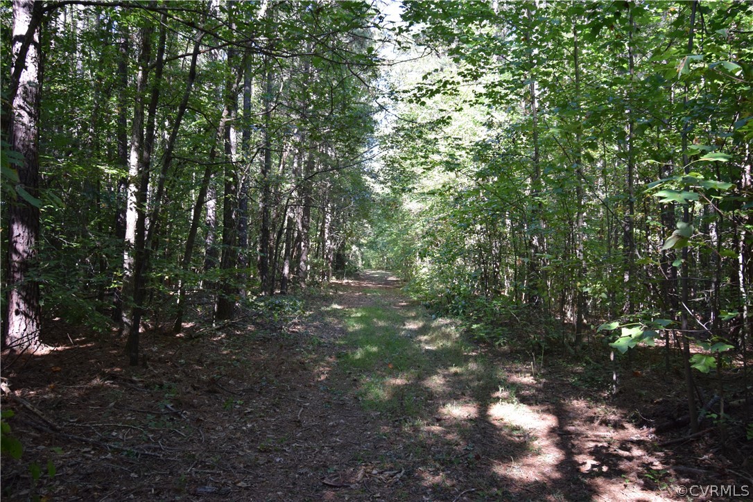 17226 Parsons Road Beaverdam, VA 23015 - Photo 17 of 45 Gallery Image 17