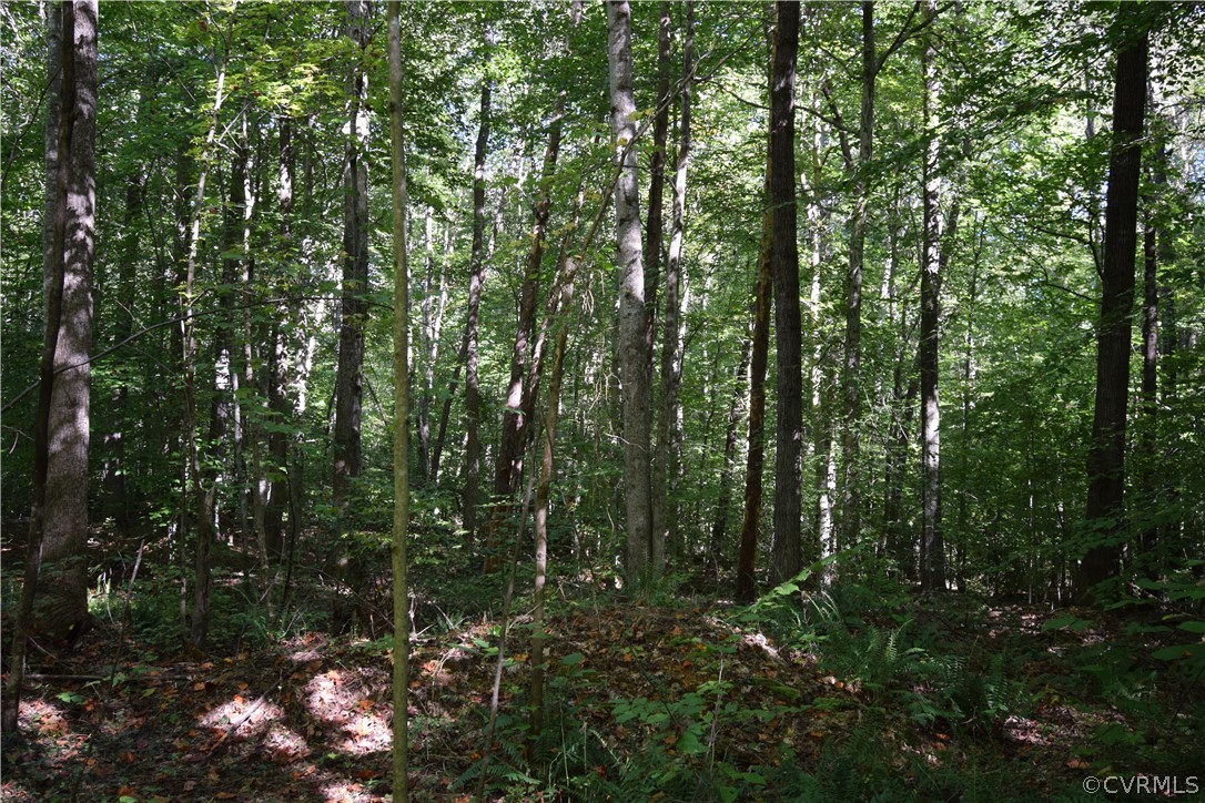 17226 Parsons Road Beaverdam, VA 23015 - Photo 18 of 45 Gallery Image 18
