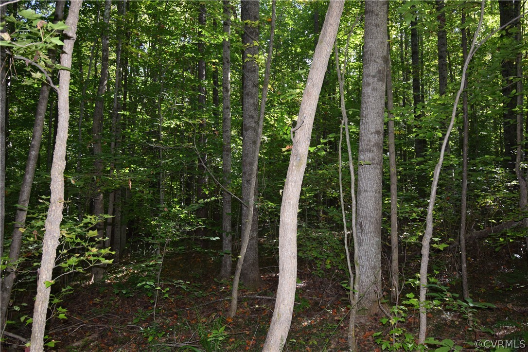 17226 Parsons Road Beaverdam, VA 23015 - Photo 19 of 45 Gallery Image 19