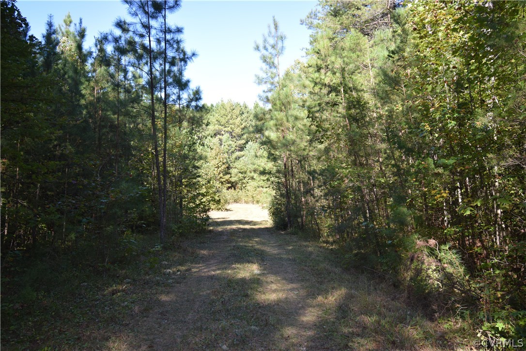 17226 Parsons Road Beaverdam, VA 23015 - Photo 20 of 45 Gallery Image 20
