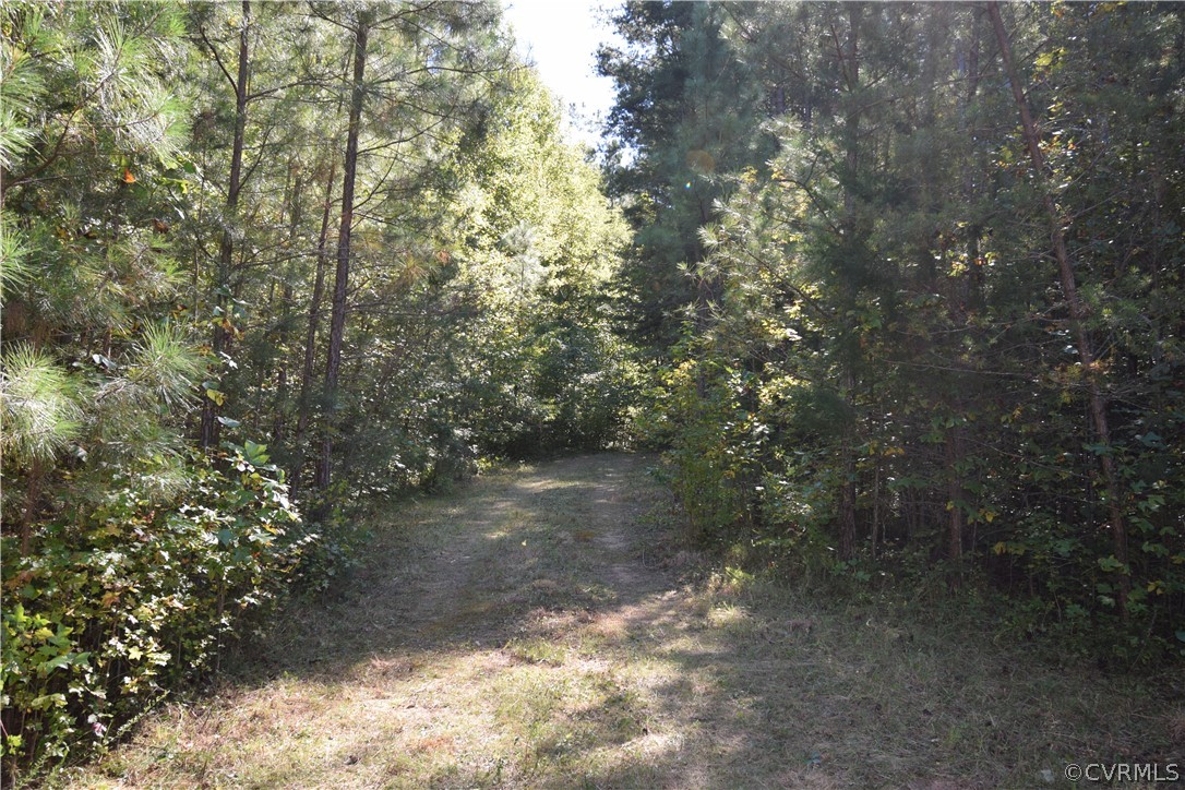 17226 Parsons Road Beaverdam, VA 23015 - Photo 21 of 45 Gallery Image 21